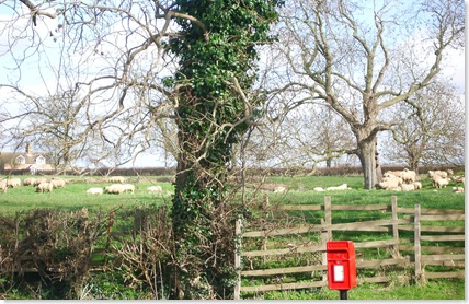 Spring in Hemingby 2007