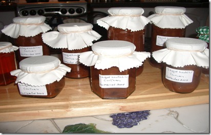 Major Moursi's Chutney Sept 2008 001