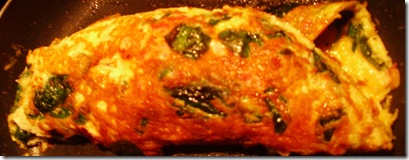 Omelette Oct 2008 001