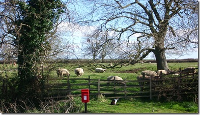 March 29 2009 004