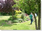Open Gardens June 2009 049