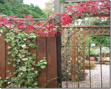 Autumn Sept 2009 008