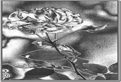 013%20Chrome%20Rose[1]