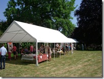 As June Closes - The Village Fete 2010 007