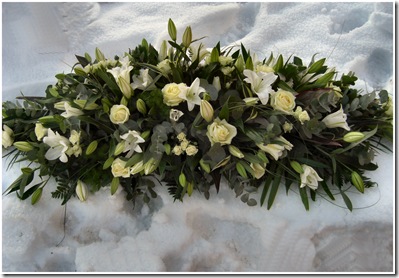 Hamada's flowers Dec 6th 2010 Hamada's flowers Dec 6th 2010