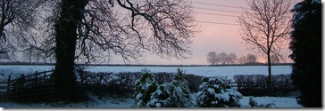 And Even More Snow Feb 9 2009 010