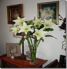 Lilies from Jo -April 2011 004