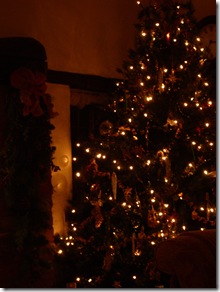 December 2009 011