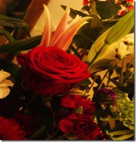 Red Rose 2011